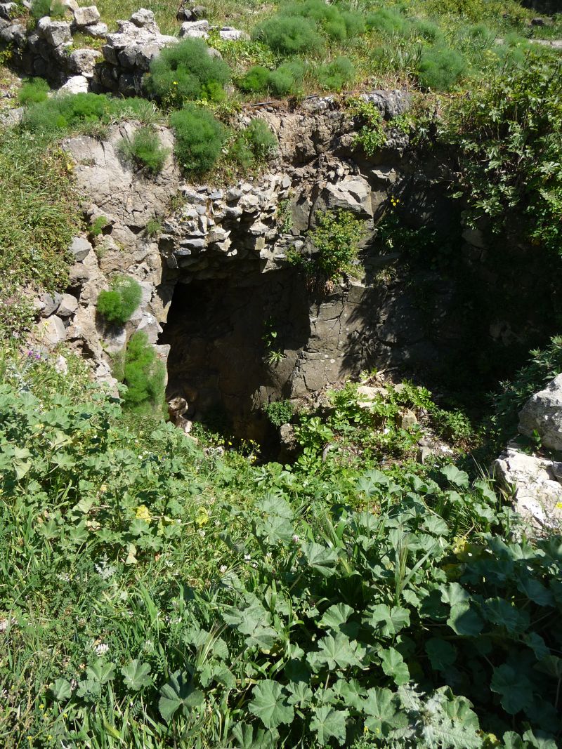P1030044.JPG
